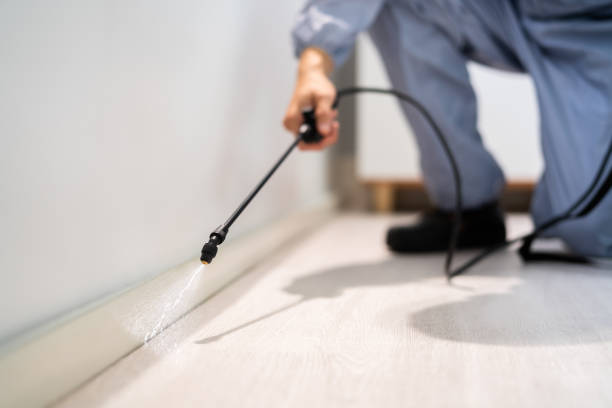 Certified termite inspector examining foundation in Chester Center